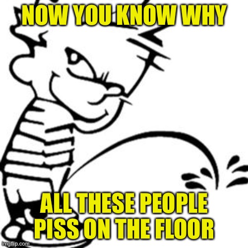 piss on you | NOW YOU KNOW WHY ALL THESE PEOPLE PISS ON THE FLOOR | image tagged in piss on you | made w/ Imgflip meme maker