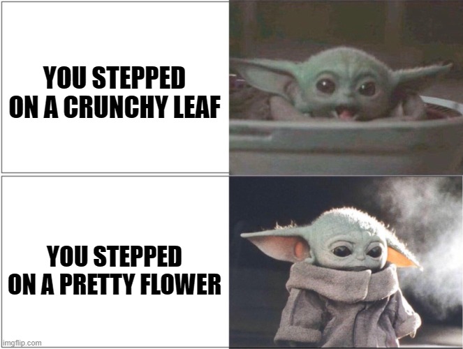 Baby Yoda happy then sad | YOU STEPPED ON A CRUNCHY LEAF; YOU STEPPED ON A PRETTY FLOWER | image tagged in baby yoda happy then sad,memes,funny memes,nature | made w/ Imgflip meme maker