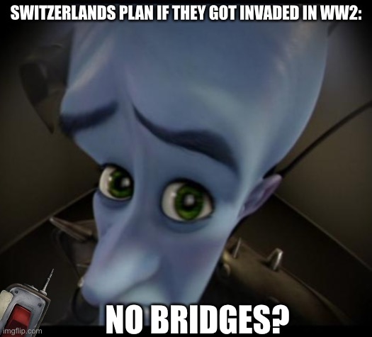 They were going to blowup all the bridges so the Germans couldn’t cross the mountains if they wanted to invafe | SWITZERLANDS PLAN IF THEY GOT INVADED IN WW2:; NO BRIDGES? | image tagged in no bitches,historical meme,switzerland,ww2 | made w/ Imgflip meme maker