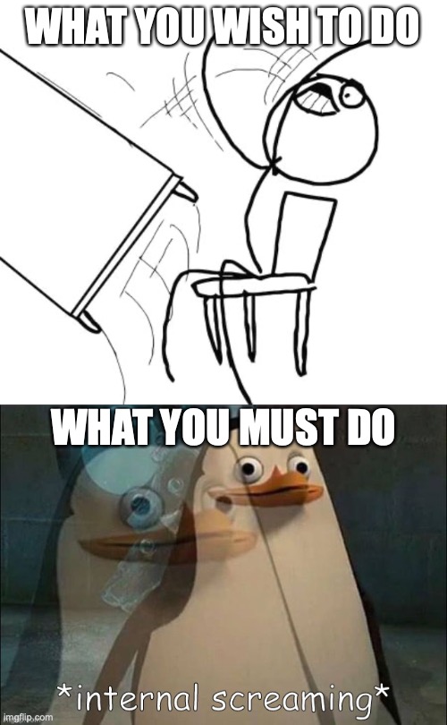 WHAT YOU WISH TO DO WHAT YOU MUST DO | image tagged in memes,table flip guy,private internal screaming | made w/ Imgflip meme maker