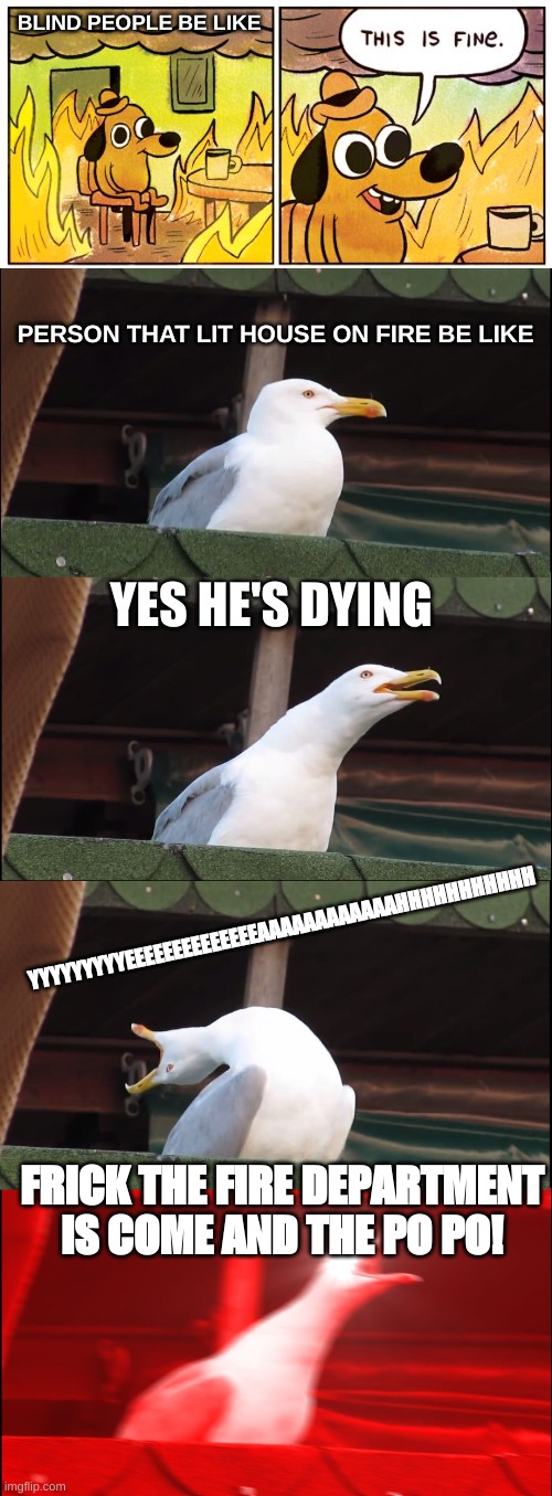 dont take this seriously | BLIND PEOPLE BE LIKE; PERSON THAT LIT HOUSE ON FIRE BE LIKE; YES HE'S DYING; YYYYYYYYYEEEEEEEEEEEEEEAAAAAAAAAAAAHHHHHHHHHHH; FRICK THE FIRE DEPARTMENT IS COME AND THE PO PO! | image tagged in memes,this is fine,inhaling seagull | made w/ Imgflip meme maker