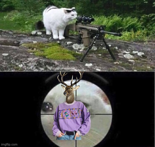 Sniper cat | image tagged in sniper cat | made w/ Imgflip meme maker