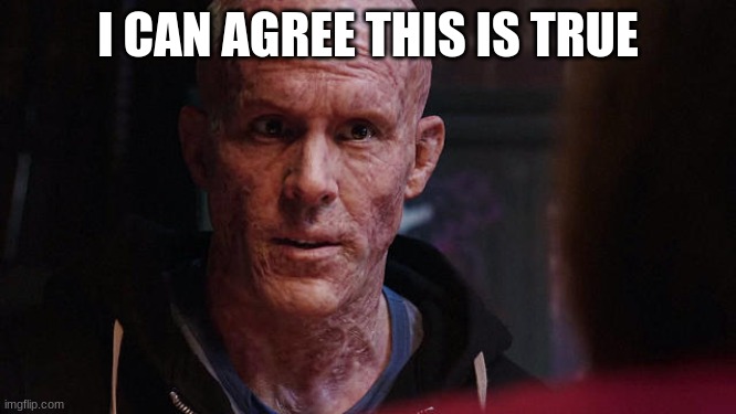 Deadpool Exactly | I CAN AGREE THIS IS TRUE | image tagged in deadpool exactly | made w/ Imgflip meme maker