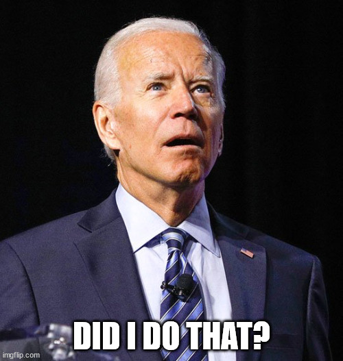 Joe Biden | DID I DO THAT? | image tagged in joe biden | made w/ Imgflip meme maker