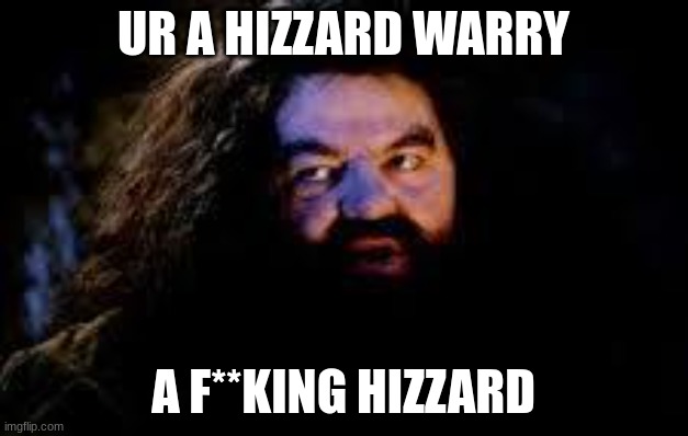 UR A HIZZARD LARRY | UR A HIZZARD WARRY; A F**KING HIZZARD | image tagged in your a wizard harry | made w/ Imgflip meme maker
