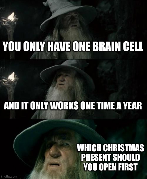 Confused Gandalf | YOU ONLY HAVE ONE BRAIN CELL; AND IT ONLY WORKS ONE TIME A YEAR; WHICH CHRISTMAS PRESENT SHOULD YOU OPEN FIRST | image tagged in memes,confused gandalf | made w/ Imgflip meme maker