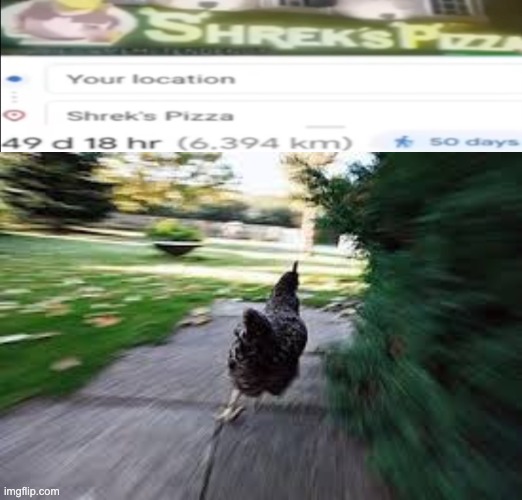 GOGOGOGOGO | image tagged in running chicken,memes,unfunny | made w/ Imgflip meme maker