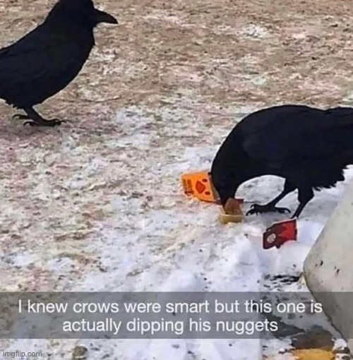 nugget dippin | image tagged in memes,unfunny | made w/ Imgflip meme maker