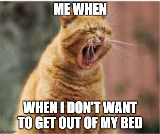 cat yawn | ME WHEN; WHEN I DON'T WANT TO GET OUT OF MY BED | image tagged in cat,yawn | made w/ Imgflip meme maker
