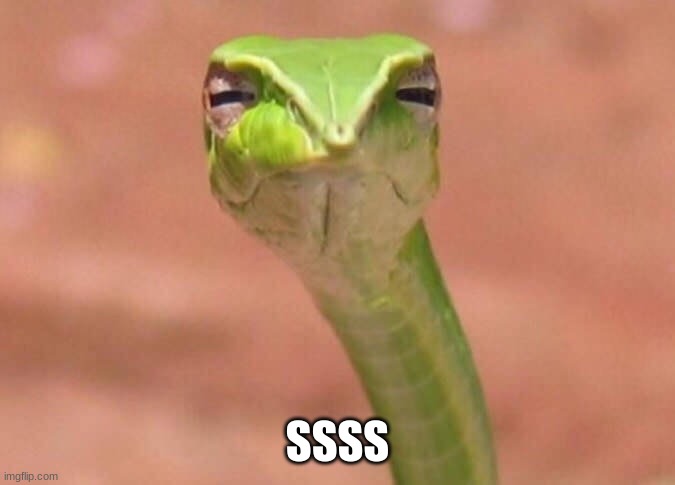 Skeptical snake | SSSS | image tagged in skeptical snake | made w/ Imgflip meme maker