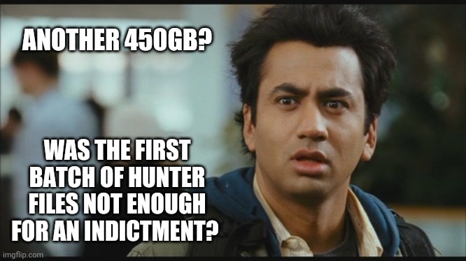 How many gigabytes is it gonna take? | ANOTHER 450GB? WAS THE FIRST BATCH OF HUNTER FILES NOT ENOUGH FOR AN INDICTMENT? | image tagged in harold huh | made w/ Imgflip meme maker