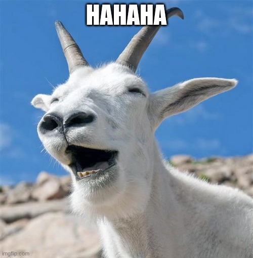 Laughing Goat Meme | HAHAHA | image tagged in memes,laughing goat | made w/ Imgflip meme maker