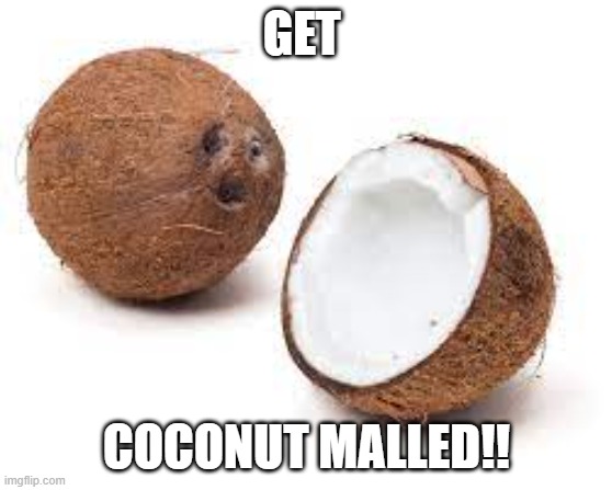 YOU JUST GOT COCONUT MALLED | GET COCONUT MALLED!! | image tagged in you just got coconut malled | made w/ Imgflip meme maker