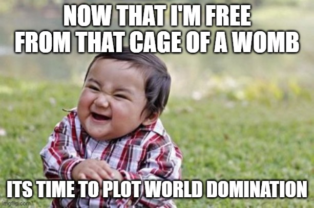 Evil Toddler Meme | NOW THAT I'M FREE FROM THAT CAGE OF A WOMB; ITS TIME TO PLOT WORLD DOMINATION | image tagged in memes,evil toddler | made w/ Imgflip meme maker