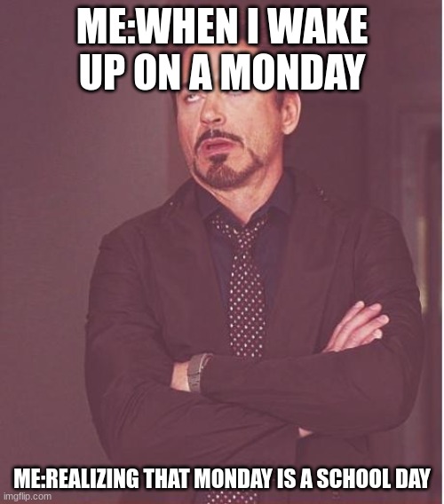 mondays |  ME:WHEN I WAKE UP ON A MONDAY; ME:REALIZING THAT MONDAY IS A SCHOOL DAY | image tagged in memes,face you make robert downey jr | made w/ Imgflip meme maker