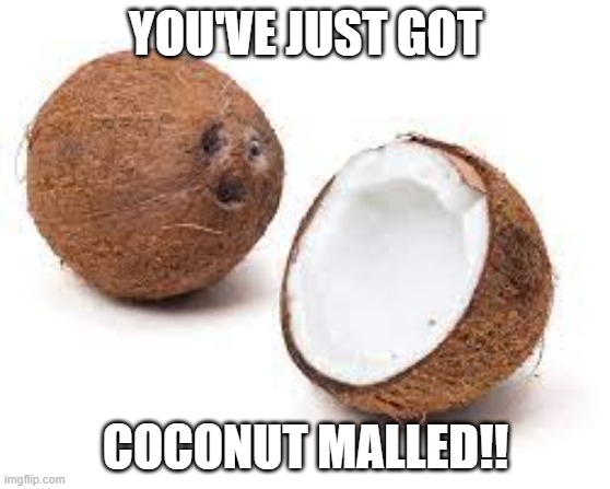 intresting tittle | YOU'VE JUST GOT; COCONUT MALLED!! | image tagged in you just got coconut malled,troll | made w/ Imgflip meme maker