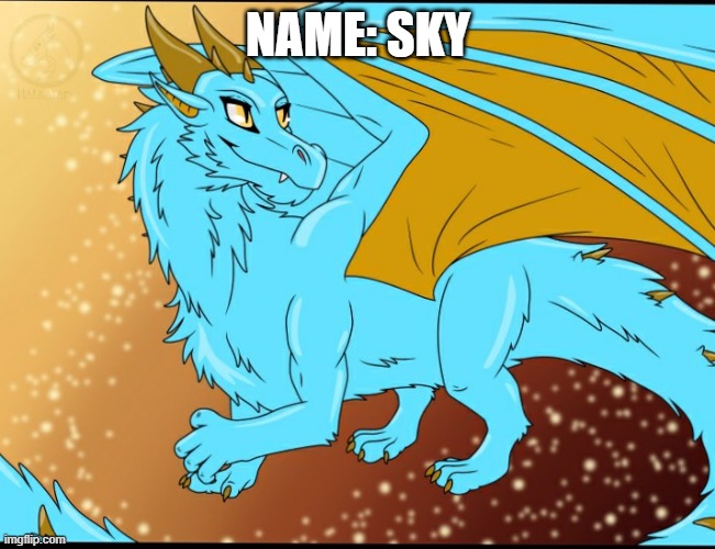 Ask Sky anything! | NAME: SKY | image tagged in sky dragon | made w/ Imgflip meme maker