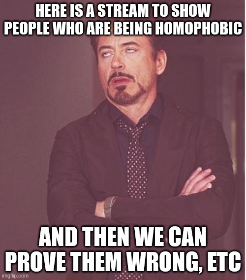 And transphobic. and non-binariophobic. and... | HERE IS A STREAM TO SHOW PEOPLE WHO ARE BEING HOMOPHOBIC; AND THEN WE CAN PROVE THEM WRONG, ETC | image tagged in face you make robert downey jr | made w/ Imgflip meme maker