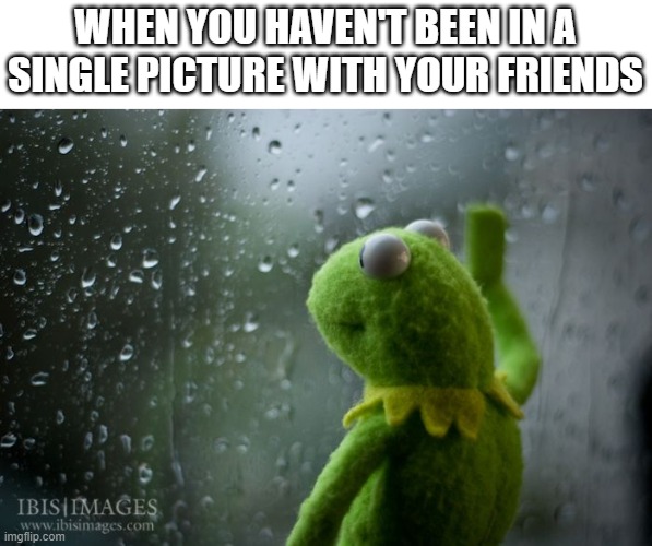 kermit window | WHEN YOU HAVEN'T BEEN IN A SINGLE PICTURE WITH YOUR FRIENDS | image tagged in kermit window,friends,group,picture | made w/ Imgflip meme maker