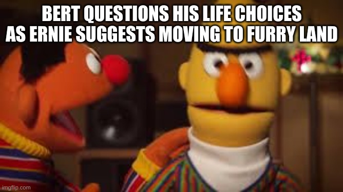 Bert and Ernie  | BERT QUESTIONS HIS LIFE CHOICES AS ERNIE SUGGESTS MOVING TO FURRY LAND | image tagged in bert and ernie | made w/ Imgflip meme maker