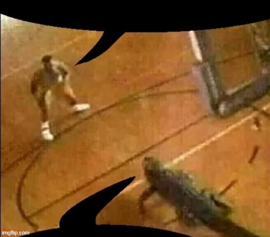 Basketball Player vs Alligator | image tagged in basketball player vs alligator | made w/ Imgflip meme maker