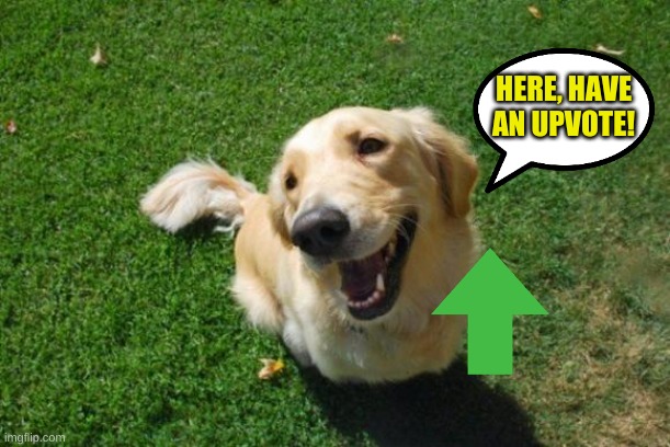 have an upvote :) | HERE, HAVE AN UPVOTE! | image tagged in happy dog | made w/ Imgflip meme maker