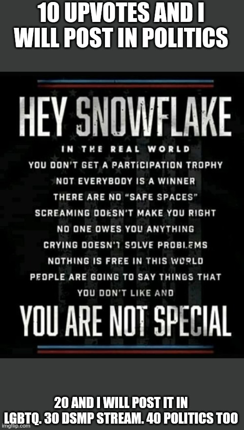 Hey snowflake | 10 UPVOTES AND I WILL POST IN POLITICS; 20 AND I WILL POST IT IN LGBTQ. 30 DSMP STREAM. 40 POLITICS TOO | image tagged in hey snowflake | made w/ Imgflip meme maker