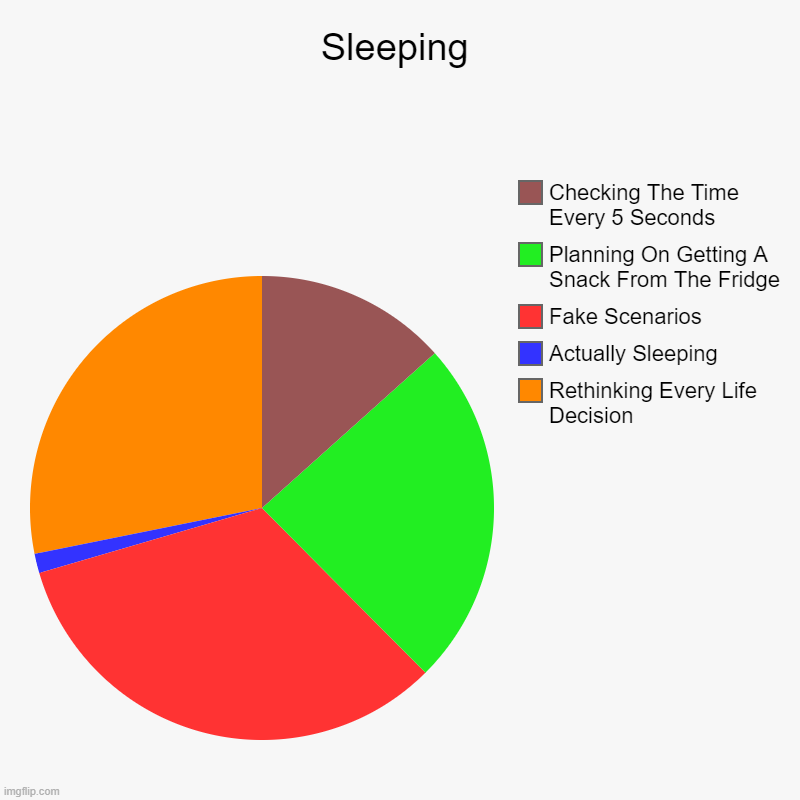 POV: Time To Go To Sleep | Sleeping | Rethinking Every Life Decision, Actually Sleeping, Fake Scenarios, Planning On Getting A Snack From The Fridge, Checking The Time | image tagged in charts,pie charts,sleep,3am,sleeping,piecharts | made w/ Imgflip chart maker