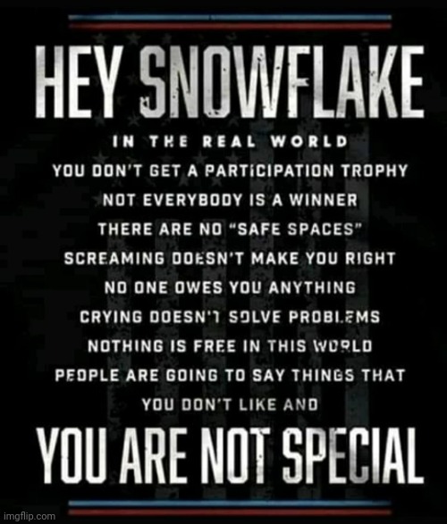 Hey snowflake | image tagged in hey snowflake | made w/ Imgflip meme maker