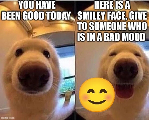 nice | YOU HAVE BEEN GOOD TODAY; HERE IS A SMILEY FACE, GIVE TO SOMEONE WHO IS IN A BAD MOOD | image tagged in wholesome doggo | made w/ Imgflip meme maker