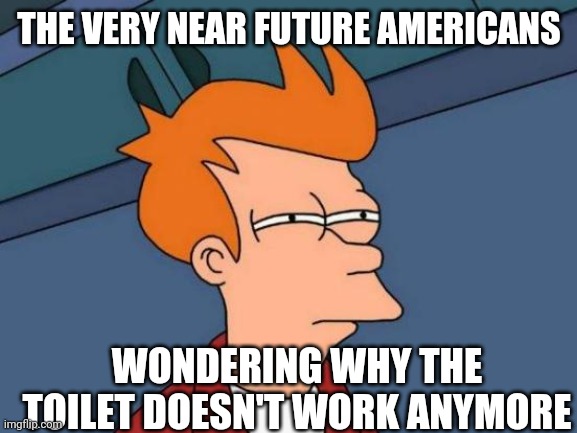 Futurama Fry Meme | THE VERY NEAR FUTURE AMERICANS WONDERING WHY THE TOILET DOESN'T WORK ANYMORE | image tagged in memes,futurama fry | made w/ Imgflip meme maker