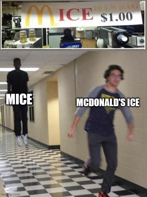 mice | MICE; MCDONALD'S ICE | image tagged in floating boy chasing running boy,memes,you had one job | made w/ Imgflip meme maker