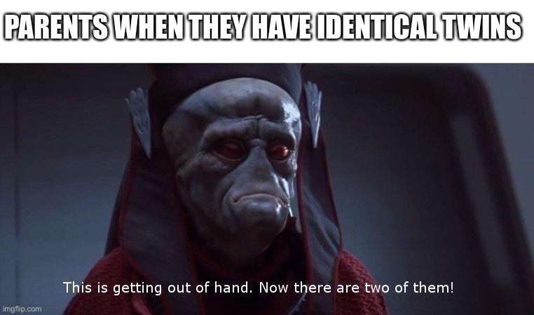 Two of Them | PARENTS WHEN THEY HAVE IDENTICAL TWINS | image tagged in two of them | made w/ Imgflip meme maker