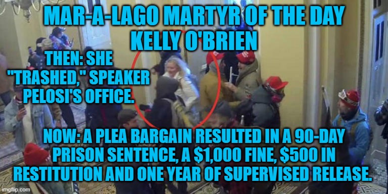 Vandalizing government offices to "Stop the Steal," makes sense? | MAR-A-LAGO MARTYR OF THE DAY
KELLY O'BRIEN; THEN: SHE "TRASHED," SPEAKER PELOSI'S OFFICE. NOW: A PLEA BARGAIN RESULTED IN A 90-DAY PRISON SENTENCE, A $1,000 FINE, $500 IN RESTITUTION AND ONE YEAR OF SUPERVISED RELEASE. | image tagged in politics | made w/ Imgflip meme maker