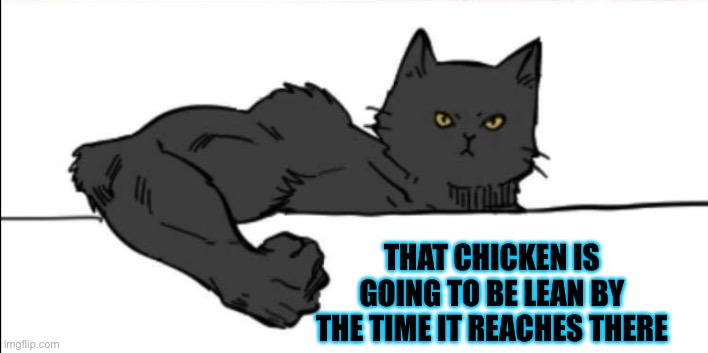Buff cat | THAT CHICKEN IS GOING TO BE LEAN BY THE TIME IT REACHES THERE | image tagged in buff cat | made w/ Imgflip meme maker