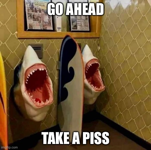 GO AHEAD; TAKE A PISS | made w/ Imgflip meme maker