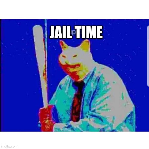 Soup Time Cat | JAIL TIME | image tagged in soup time cat | made w/ Imgflip meme maker