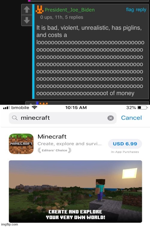 So your telling me he can't pay something that is $7 XD | image tagged in minecraft | made w/ Imgflip meme maker