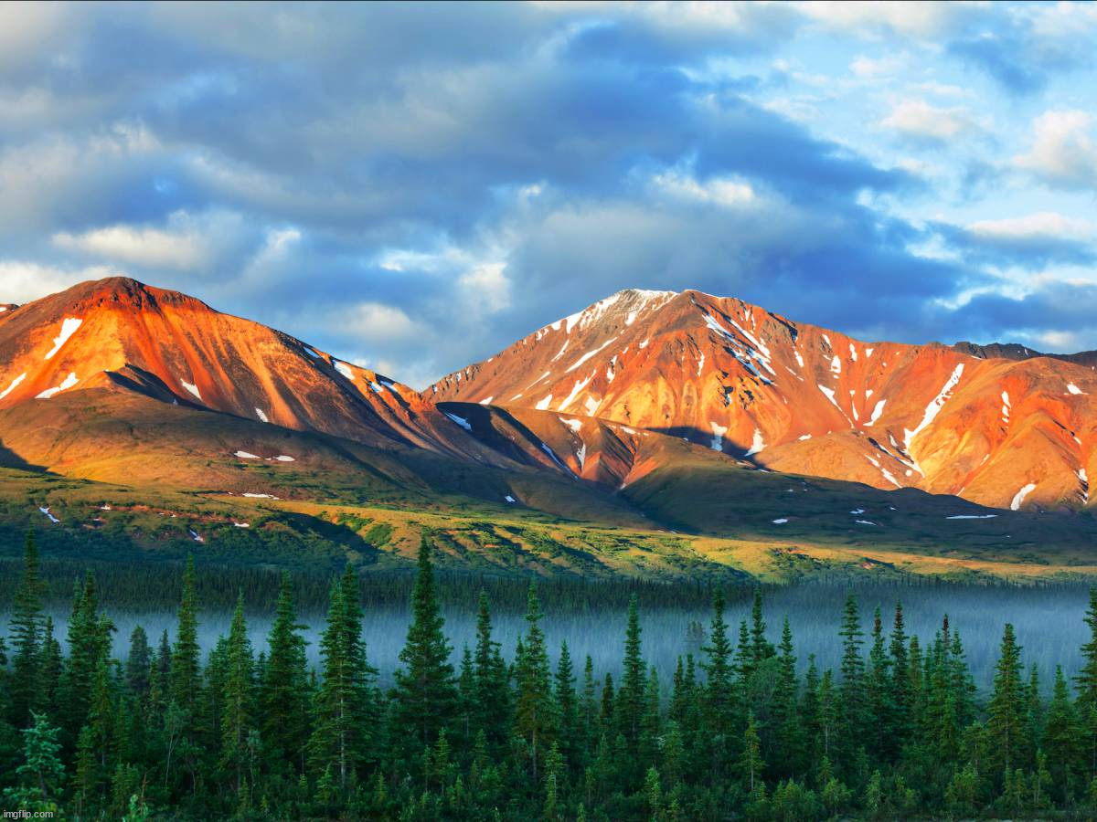 Denali National Park | image tagged in awesome | made w/ Imgflip meme maker