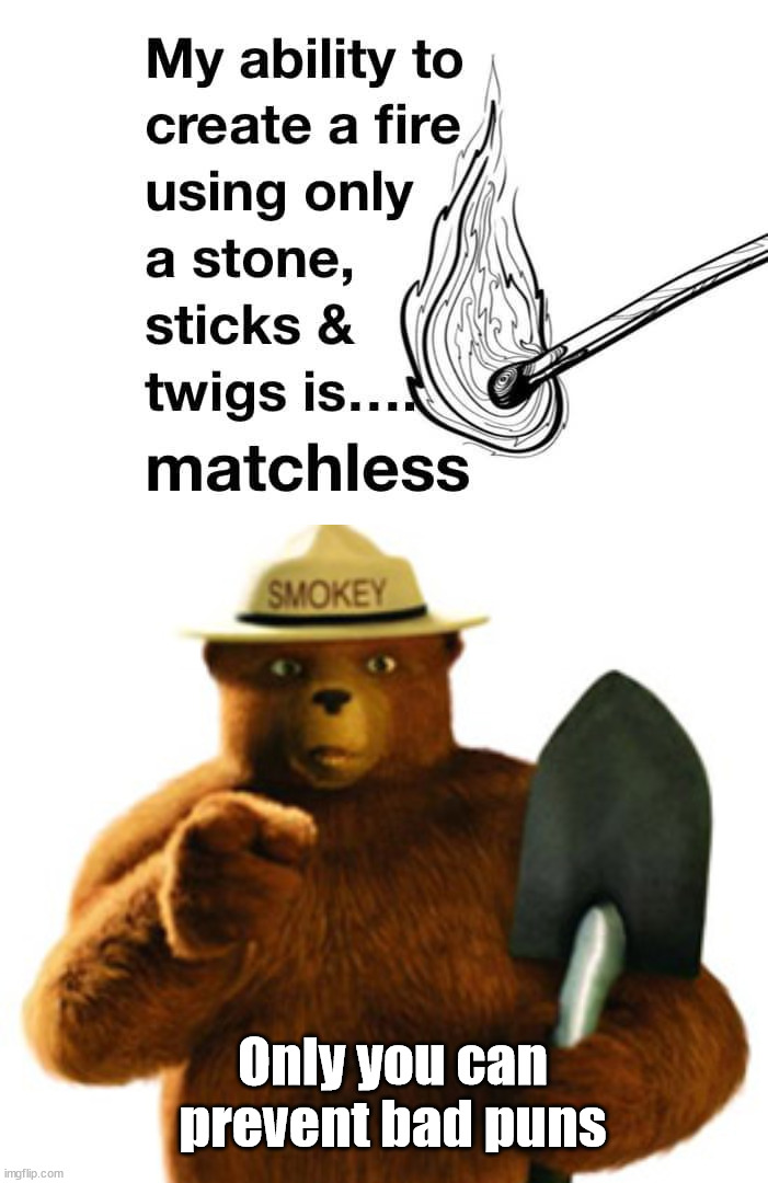 Only you can prevent bad puns | image tagged in smokey bear,eye roll | made w/ Imgflip meme maker