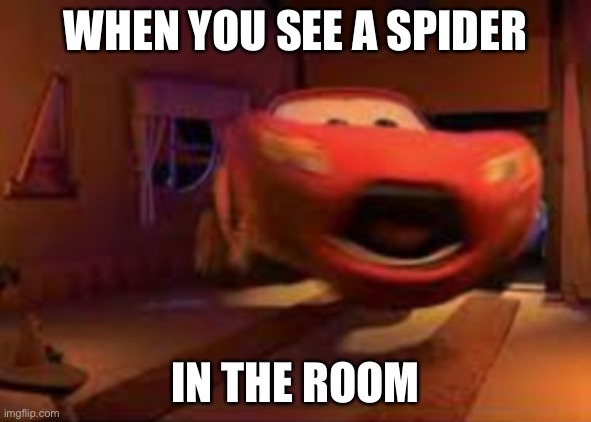 Lightning McQueen spook | WHEN YOU SEE A SPIDER; IN THE ROOM | image tagged in lightning mcqueen spook | made w/ Imgflip meme maker