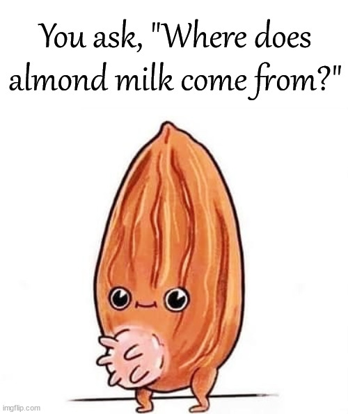 You ask, "Where does almond milk come from?" | image tagged in cursed image | made w/ Imgflip meme maker