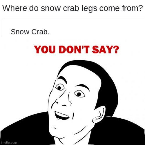 ok google | image tagged in memes,you don't say,google,snow crab | made w/ Imgflip meme maker
