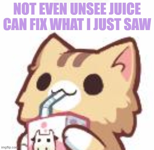 Unsee Juice kitty | NOT EVEN UNSEE JUICE CAN FIX WHAT I JUST SAW | image tagged in unsee juice kitty | made w/ Imgflip meme maker