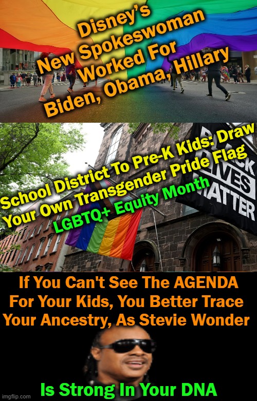 Special needs kids told they may choose to be “a boy or girl or both or neither, or something else”. | IL School District To Pre-K Kids: Draw
Your Own Transgender Pride Flag; LGBTQ+ Equity Month; If You Can't See The AGENDA
For Your Kids, You Better Trace 
Your Ancestry, As Stevie Wonder; Is Strong In Your DNA | image tagged in politics,democrats,indoctrination,education,children,sjws | made w/ Imgflip meme maker