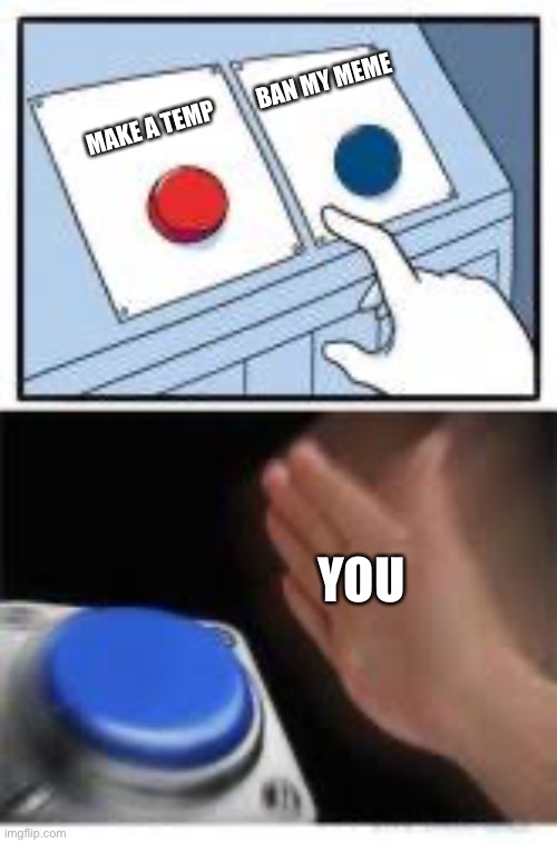 Red and Blue Buttons | MAKE A TEMP BAN MY MEME YOU | image tagged in red and blue buttons | made w/ Imgflip meme maker