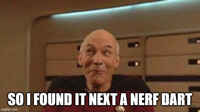 Picard Silly | SO I FOUND IT NEXT A NERF DART | image tagged in picard silly | made w/ Imgflip meme maker