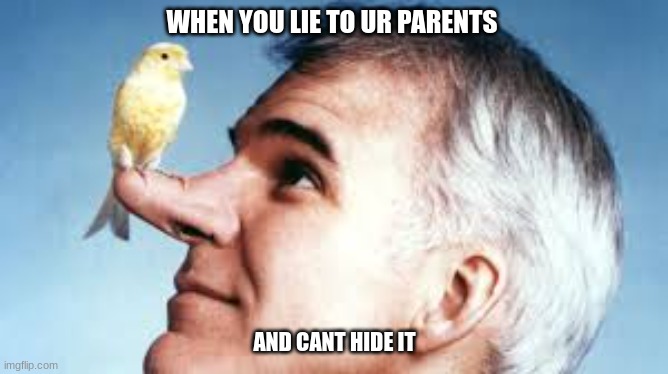 lies | WHEN YOU LIE TO UR PARENTS; AND CANT HIDE IT | image tagged in pinocchio | made w/ Imgflip meme maker