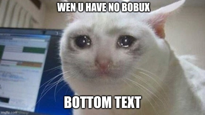 WEN U HAVE NO BOBUX; BOTTOM TEXT | image tagged in cat,bobux,cute,sad | made w/ Imgflip meme maker