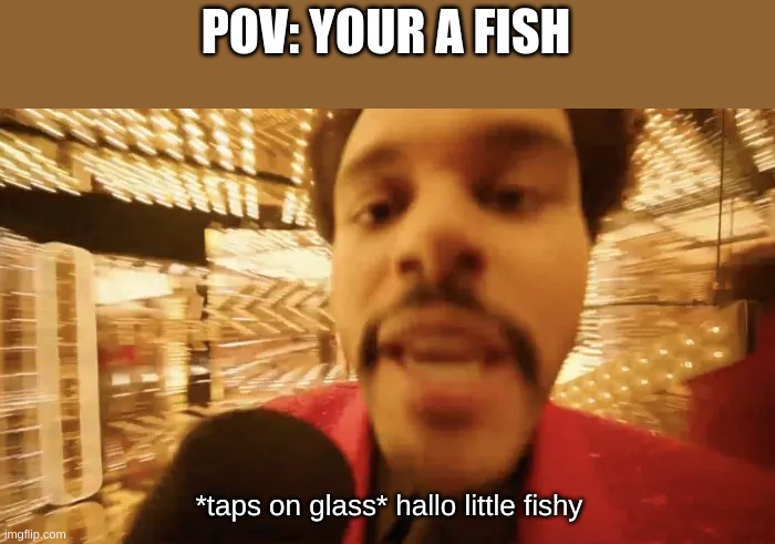haallo | POV: YOUR A FISH; *taps on glass* hallo little fishy | image tagged in fun,funny meme,lol | made w/ Imgflip meme maker